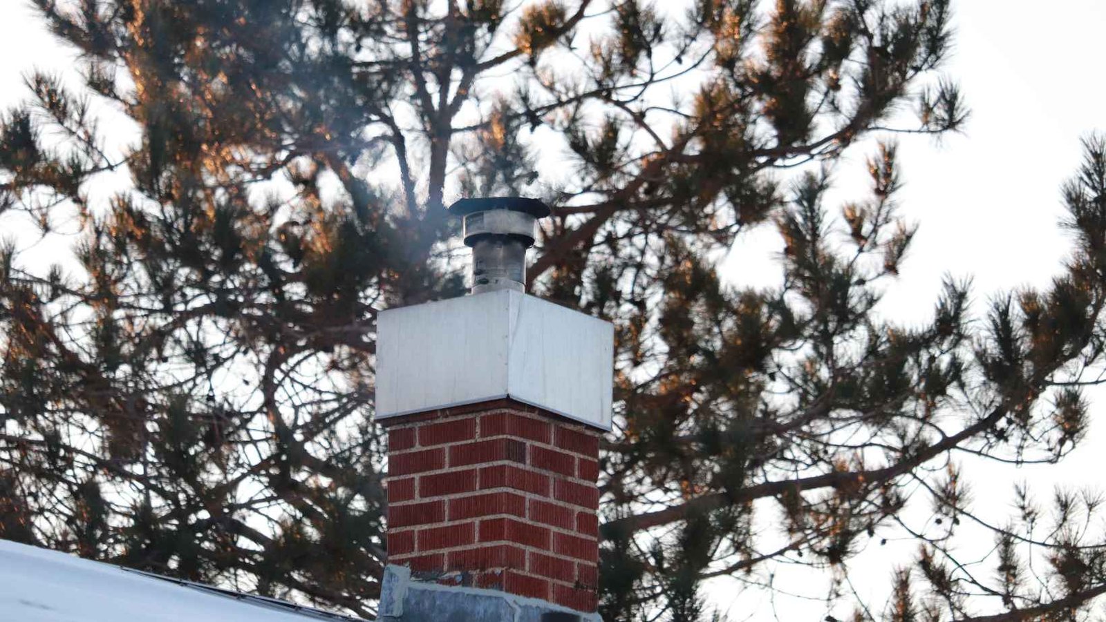Brick chimney with smoke among pine trees